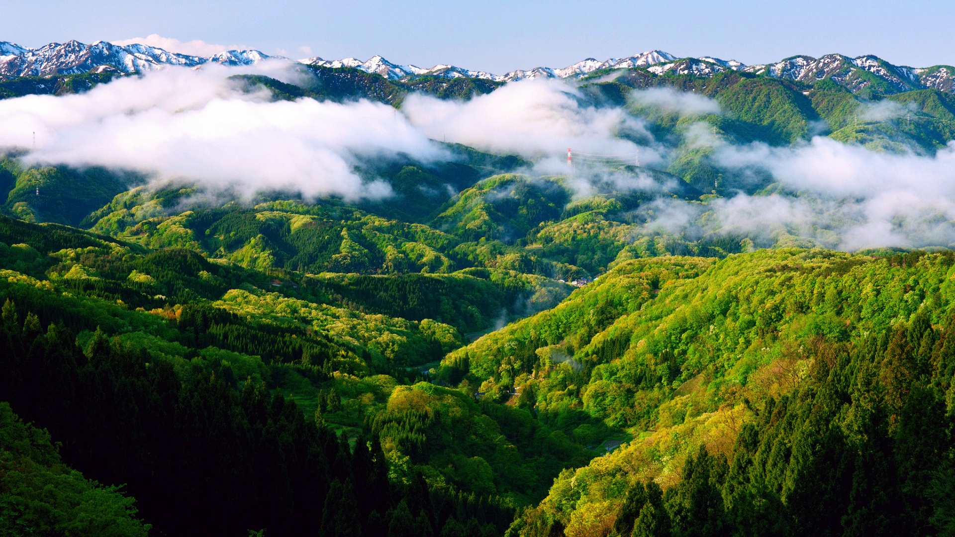 Nature’s Paradise in the Himalayas